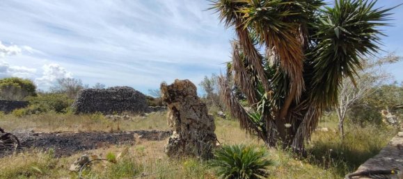 3 rooms Villa in Sannicola, Italy No. 17490 31