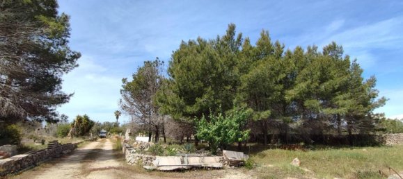 3 rooms Villa in Sannicola, Italy No. 17490 20