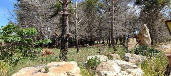 3 rooms Villa in Sannicola, Italy No. 17490 57