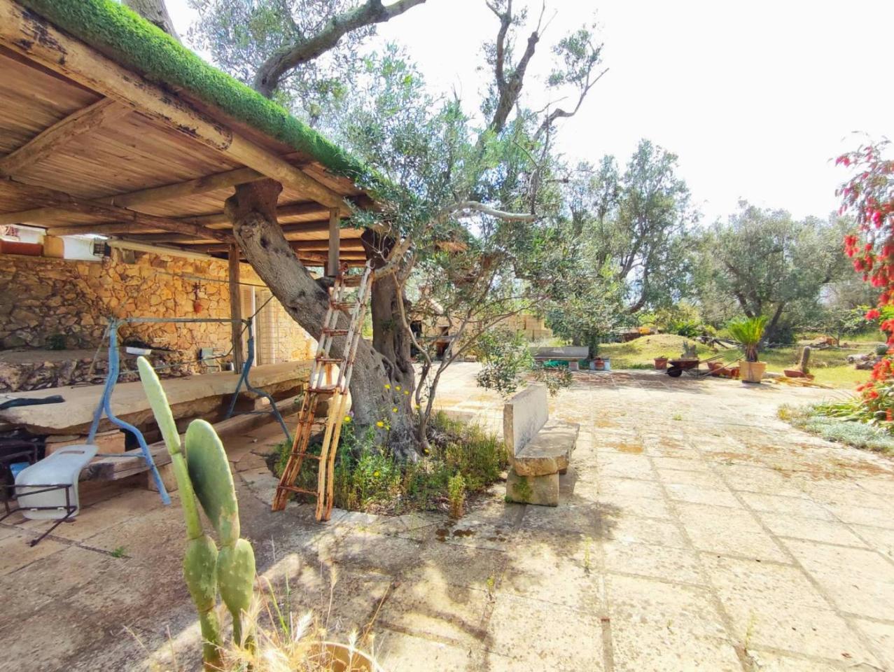 3 rooms Villa in Sannicola, Italy No. 17490