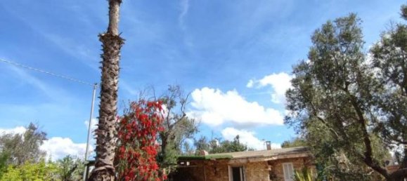 3 rooms Villa in Sannicola, Italy No. 17490 40