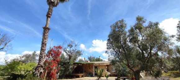 3 rooms Villa in Sannicola, Italy No. 17490 45