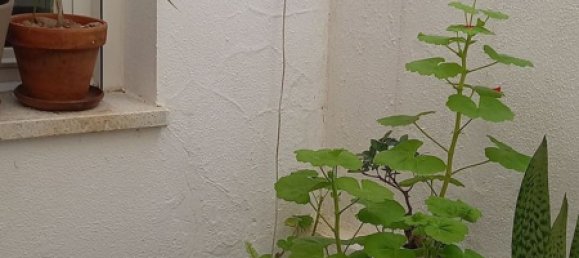 Adosado de 4 dormitorios en Cádiz, Spain No. 148609 9