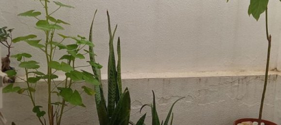 Adosado de 4 dormitorios en Cádiz, Spain No. 148609 10