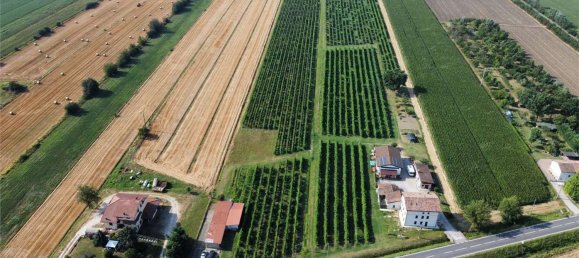 Terrain à Novi di Modena, Italy 19000m² No. 60006 2