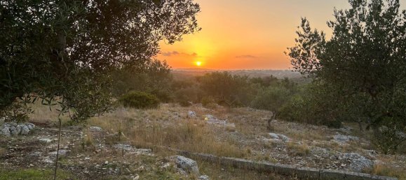 3 bedrooms Villa in Ostuni, Italy No. 325444 34