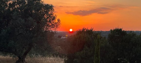 3 bedrooms Villa in Ostuni, Italy No. 325444 20