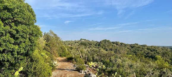 3 bedrooms Villa in Ostuni, Italy No. 325444 23