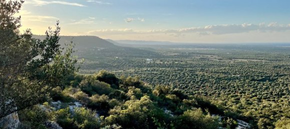 3 bedrooms Villa in Ostuni, Italy No. 325444 24
