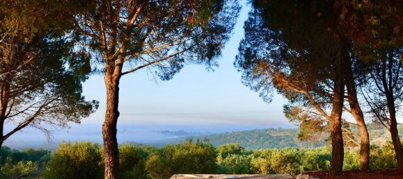 3 bedrooms Villa in Ostuni, Italy No. 325444 15