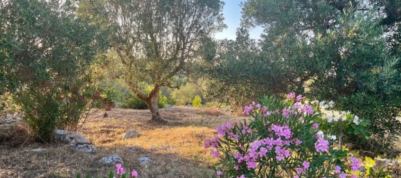 3 bedrooms Villa in Ostuni, Italy No. 325444 22