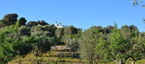 3 bedrooms Villa in Ostuni, Italy No. 325444 21