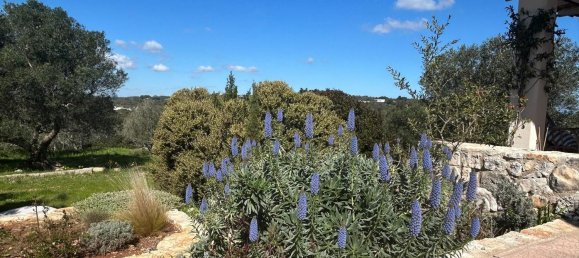 3 bedrooms Villa in Ostuni, Italy No. 325444 31