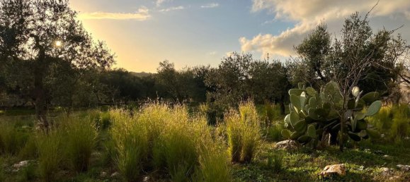 3 bedrooms Villa in Ostuni, Italy No. 325444 19