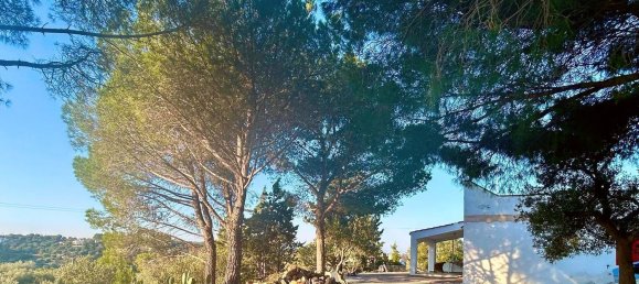 3 bedrooms Villa in Ostuni, Italy No. 325444 43