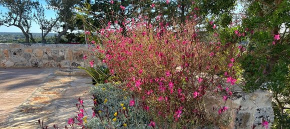 3 bedrooms Villa in Ostuni, Italy No. 325444 14