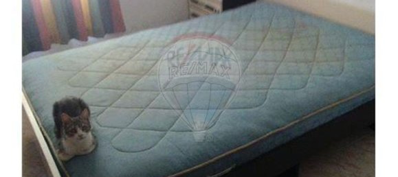 3 bedrooms House in Salgueiro do Campo, Portugal No. 31080 9