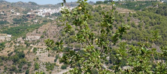 3 غرف نوم منزل في Yunquera, Spain رقم 53255 14