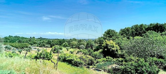 4 chambres Maison à Oliveira do Conde, Portugal No. 184441 33