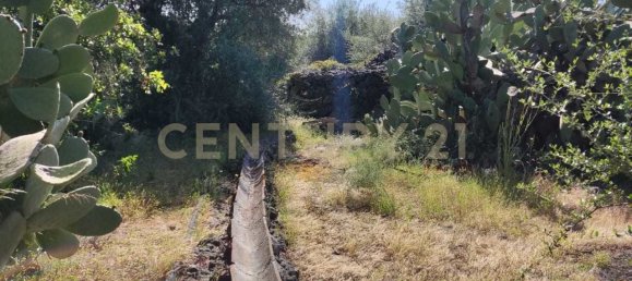  قطعة أرض في Belpasso, Italy 6132متر مربع رقم 79107 7