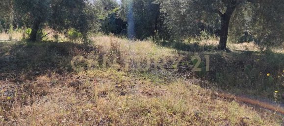  قطعة أرض في Belpasso, Italy 6132متر مربع رقم 79107 3