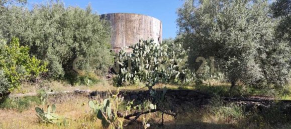  قطعة أرض في Belpasso, Italy 6132متر مربع رقم 79107 2