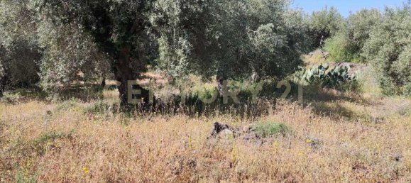  قطعة أرض في Belpasso, Italy 6132متر مربع رقم 79107 4