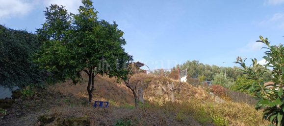 594m² Land in Rome, Italy No. 79998 13