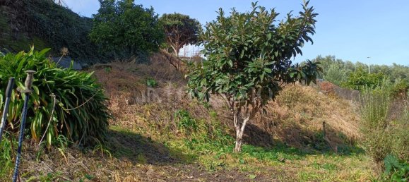 594m² Land in Rome, Italy No. 79998 4