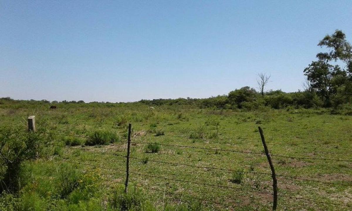 Propiedad comercial en Córdoba, Argentina No. 25033