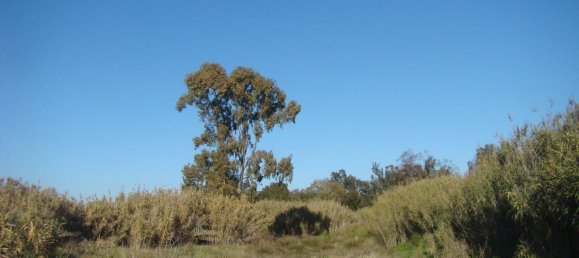  Land in Mexilhoeira Grande, Portugal No. 189961 2