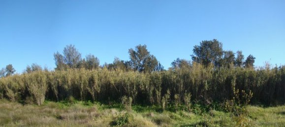  Land in Mexilhoeira Grande, Portugal No. 189961 4