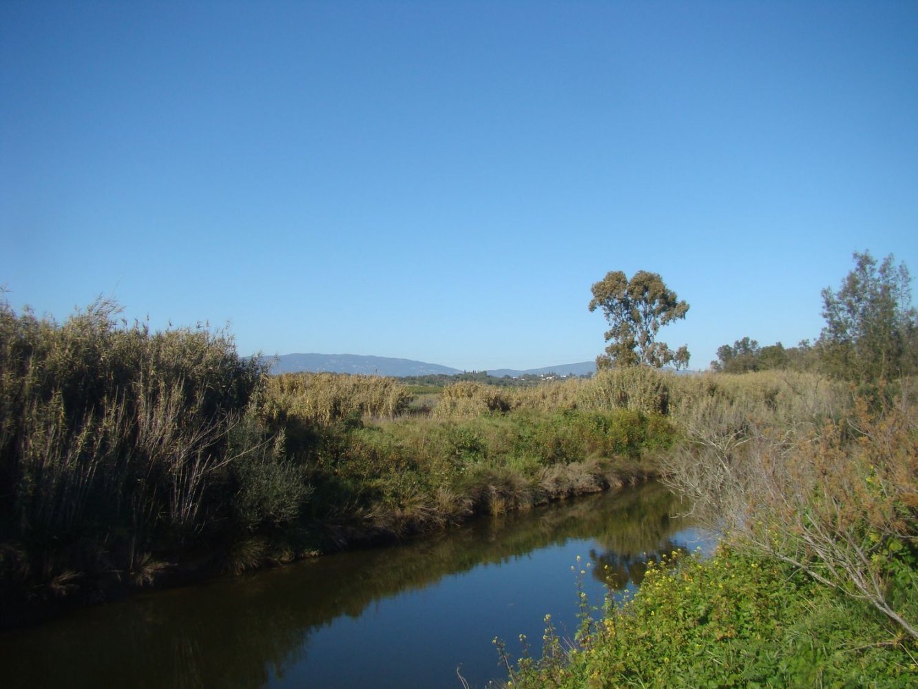  Land in Mexilhoeira Grande, Portugal No. 189961