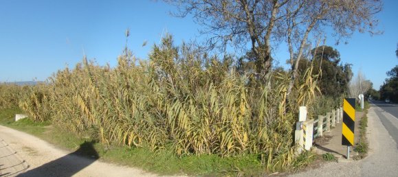  Land in Mexilhoeira Grande, Portugal No. 189961 5