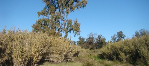  Land in Mexilhoeira Grande, Portugal No. 189961 3
