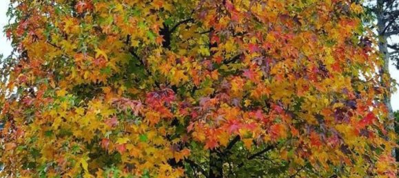 Apartamento de 3 habitaciónes en Pordenone, Italy No. 256796 21