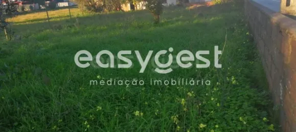 4 Schlafzimmer Haus in Coimbra, Portugal, Nr. 90920 8