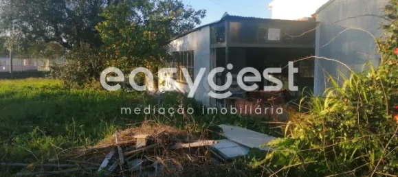 4 Schlafzimmer Haus in Coimbra, Portugal, Nr. 90920 5