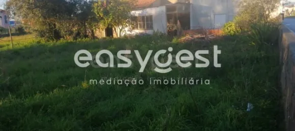 4 Schlafzimmer Haus in Coimbra, Portugal, Nr. 90920 7