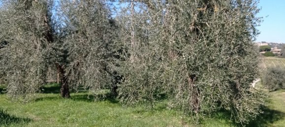 Дом с 4 комнатами в Чивителла д’Альяно, Италия № 128431 23