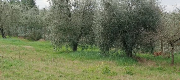 Дом с 4 комнатами в Чивителла д’Альяно, Италия № 128431 24