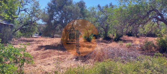 Terreno en Sao Bras de Alportel, Portugal 2432 m² No. 35261 7