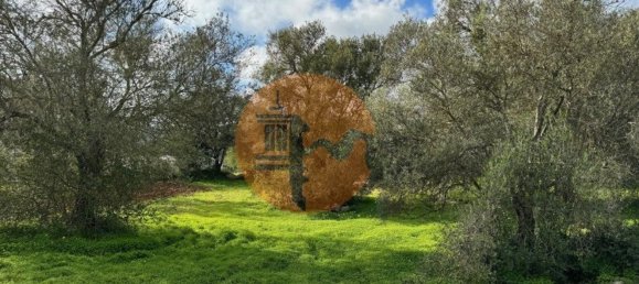 Terreno en Sao Bras de Alportel, Portugal 2432 m² No. 35261 3