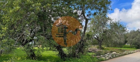 Terreno en Sao Bras de Alportel, Portugal 2432 m² No. 35261 2