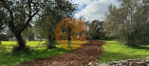 Terreno en Sao Bras de Alportel, Portugal 2432 m² No. 35261 5