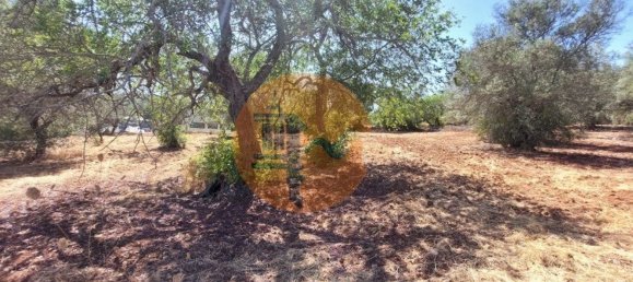 Terreno en Sao Bras de Alportel, Portugal 2432 m² No. 35261 8