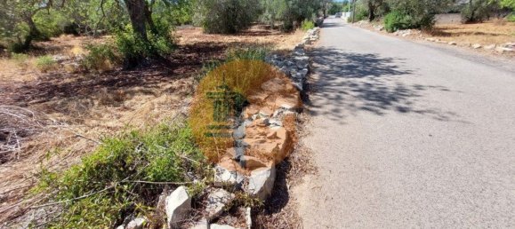 Terreno en Sao Bras de Alportel, Portugal 2432 m² No. 35261 9