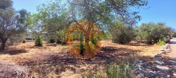 Terreno en Sao Bras de Alportel, Portugal 2432 m² No. 35261 10