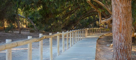 3 bedrooms Villa in San Fulgencio, Spain No. 6536 14