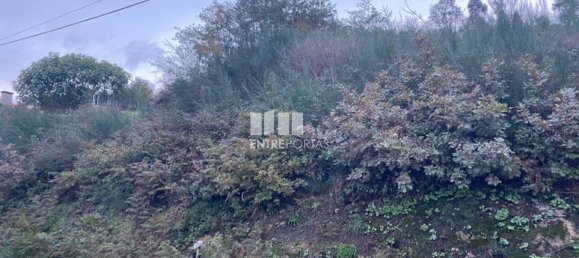 802m² Land in Baiao, Portugal No. 56289 16